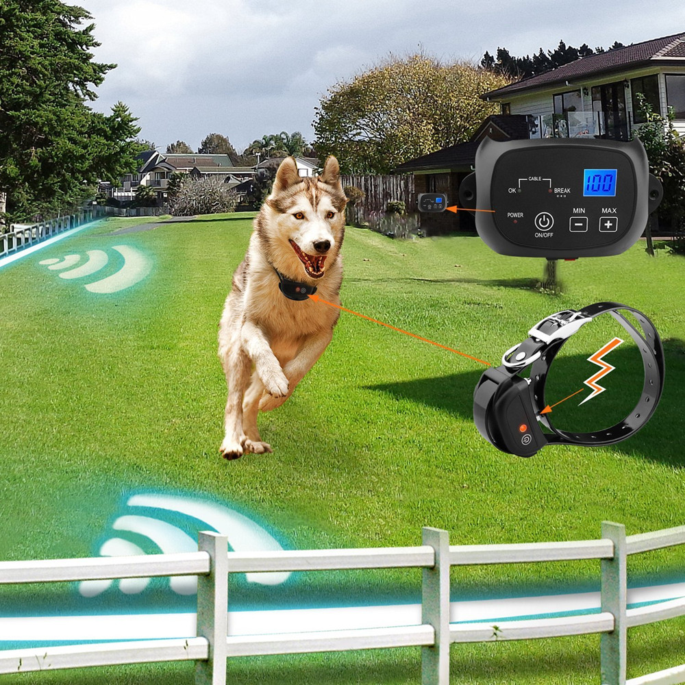 Wire Pet Fence Wired Pet Fence dog fence for 2 dogs